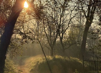 ������ ����