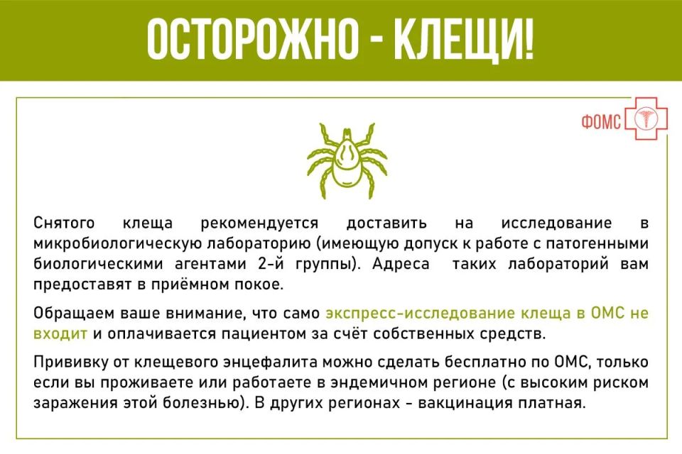 Весна - период выхода насекомых из зимней спячки Весна - период выхода насекомых из зимней спячки