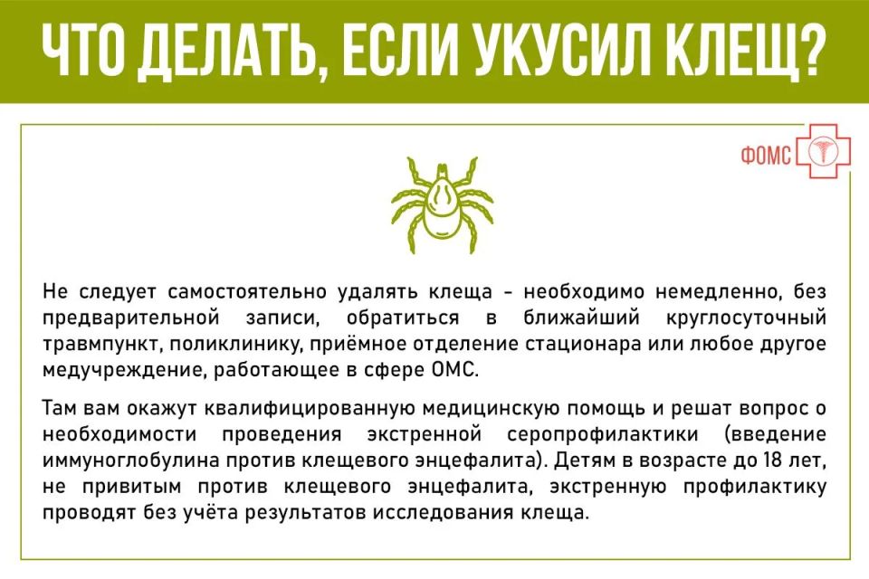 Весна - период выхода насекомых из зимней спячки Весна - период выхода насекомых из зимней спячки