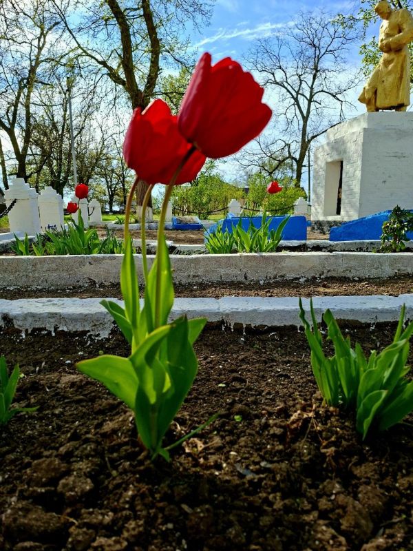 "Цветущая память: дань Земле и героям" "Цветущая память: дань Земле и героям"