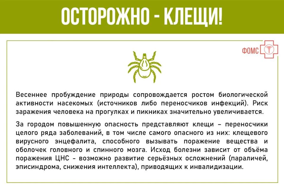 Весна - период выхода насекомых из зимней спячки Весна - период выхода насекомых из зимней спячки