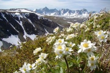 ��� ���� �������.... 23 ������ 1994 ���� � ���������� ���� ��� ������� ������������ ���� ���� �� � ���� �� ���������� ��������� ���������� �� ������ � ������, �� � � ����