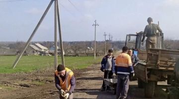 � ����������� ������� ������������ �������� �������� �� ������ ������������