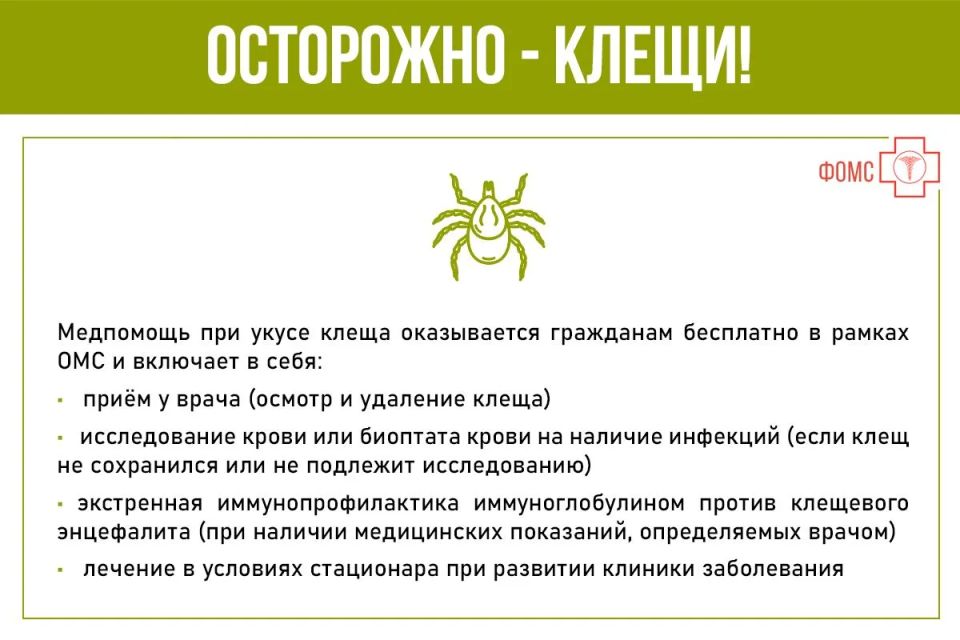 Весна - период выхода насекомых из зимней спячки Весна - период выхода насекомых из зимней спячки
