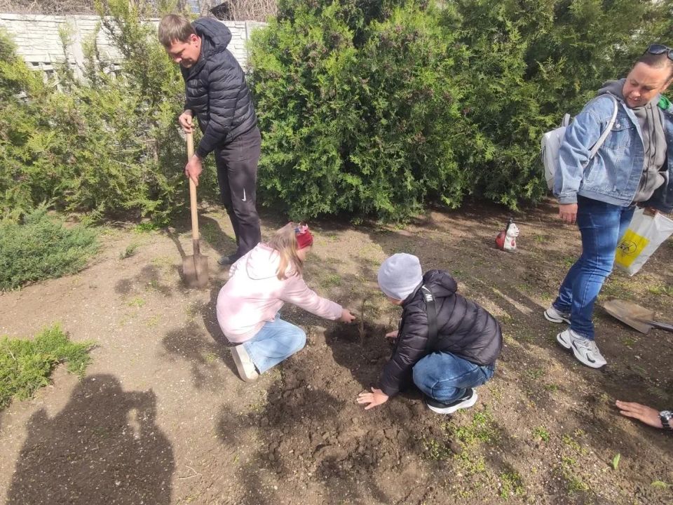 В Бердянске продолжается экологическая акция: воспитанники детского сада «Ласточка» высадили деревья В Бердянске продолжается экологическая акция: воспитанники детского сада «Ласточка» высадили деревья