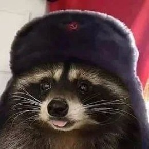 ������ ����, ������� ����������! ������ ����, ���������!