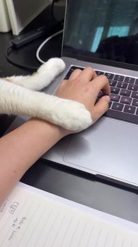 ��� � �����. ���������� ������ �� �������