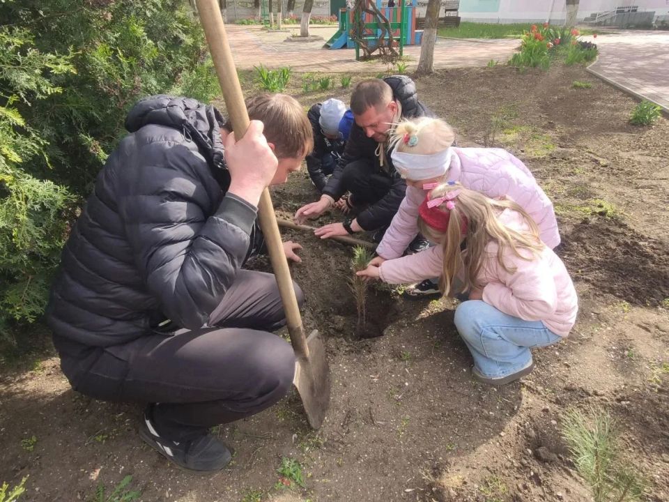 В Бердянске продолжается экологическая акция: воспитанники детского сада «Ласточка» высадили деревья В Бердянске продолжается экологическая акция: воспитанники детского сада «Ласточка» высадили деревья