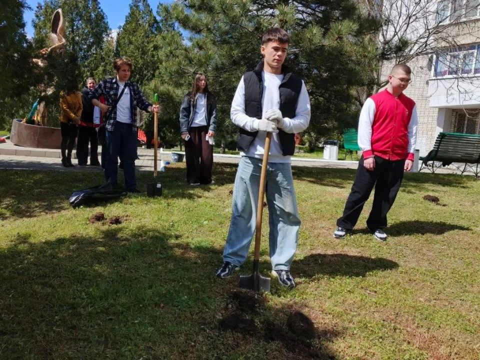Саженцы у мемориала ликвидаторам ЧАЭС Саженцы у мемориала ликвидаторам ЧАЭС