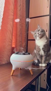 �������� ���������. �������� ����� ������� ����� ������