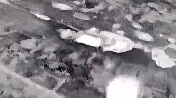 ���������: ������ ������������ ������������ ����� � ������� �� ������� �� ����, �� ����!