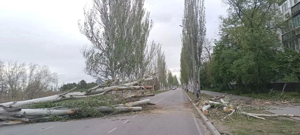 Вчера по городу пронеслась настоящая буря — ветер повалил дерево на улице Комсомольской Вчера по городу пронеслась настоящая буря — ветер повалил дерево на улице Комсомольской