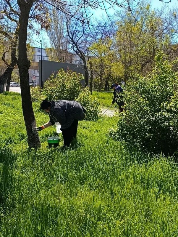В парке «Молодёжный» Бердянска прошёл субботник с участием активистов и общественности В парке «Молодёжный» Бердянска прошёл субботник с участием активистов и общественности