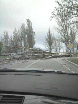 ������ ���� �� �������� ����� � ����������