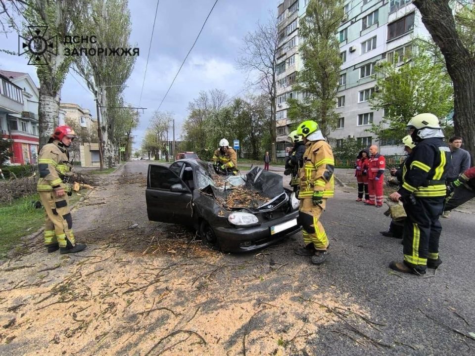 Последствия вчерашней бури в Запорожской области Последствия вчерашней бури в Запорожской области