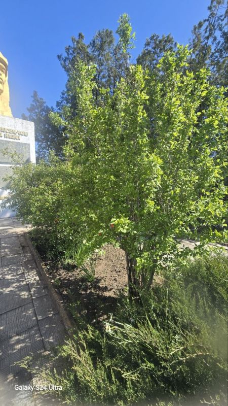Работники дома культуры и Надеждинской сельской библиотеки провели уборку на территории памятника, погибшим воинам в годы Великой Отечественной войны "Никто не забыт и не что не забыто" Работники дома культуры и Надеждинской сельской библиотеки провели уборку на территории памятника, погибшим воинам в годы Великой Отечественной войны "Никто не забыт и не что не забыто"