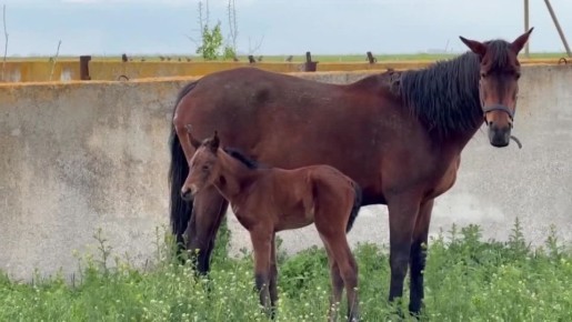 ������ ������, �������� ����� ����� ��� �� ������ ����� � ��������, ������ ���������