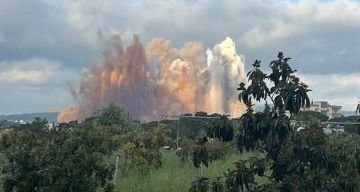 ������� ����� ������ �� ������