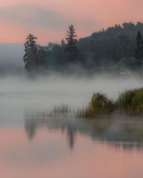 ��������� ��� ����!