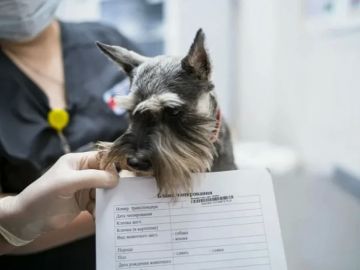 ������������ �� ������������ ���������� �������� �������� ������ � �������