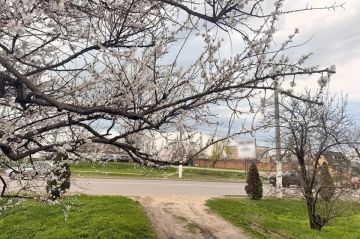 ����� ������ ����� � ����������� ������� 28 ������ 2026 ����