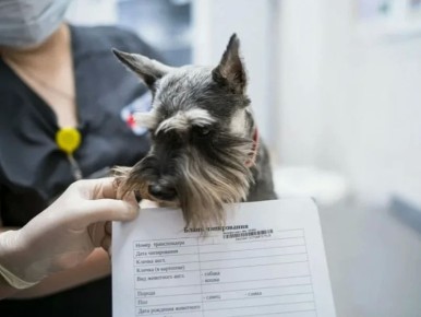 ������������ �� ������������ ���������� �������� �������� ������ � �������