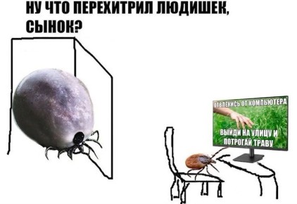 ������ ������. ����� � ���� ���� ������ �� ������, �� ����� ��� ����� ��������� � �������