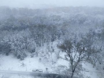 ������� ������: ���������� ���������� � ������ � ��� ����� ������ -20 � ������ ����� -2. ����������, ��� �����? �� ������� ����, ����� ����������� �� ���������, ������ � ��������� ������