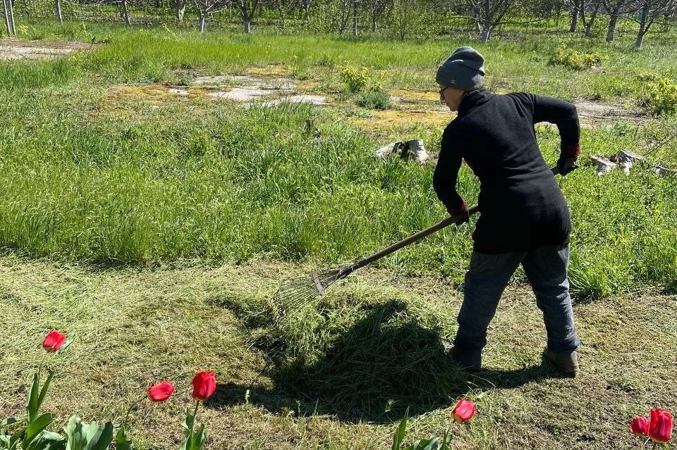 В преддверии 1 Мая и Дня Победы сотрудники Любимовского детского сада «Ромашка» провели большую и важную работу В преддверии 1 Мая и Дня Победы сотрудники Любимовского детского сада «Ромашка» провели большую и важную работу