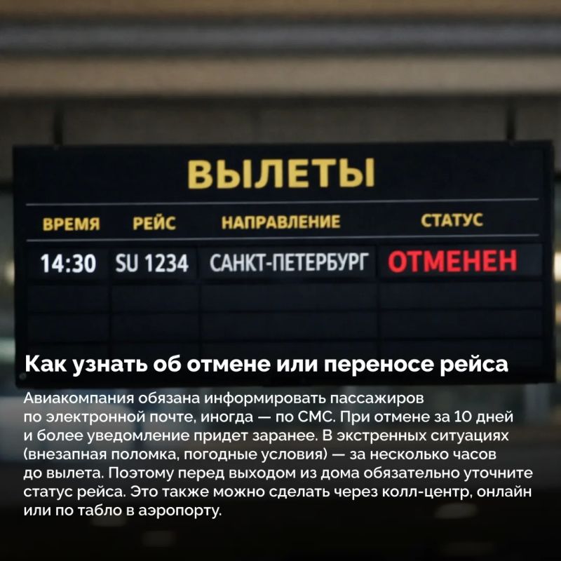 Отмена рейса — стресс, но не катастрофа Отмена рейса — стресс, но не катастрофа