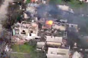 ������ ��� �� ����� 28 ������