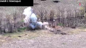 ���������� ������: ���������� ������� 38-� �������������� ������� ����������� ������� ���������� ������� ������ ��� � ����������� ����������� �������, ��������� ����������� �������������