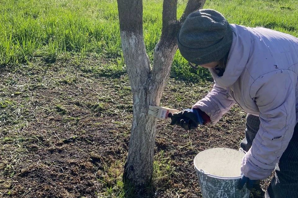 В преддверии 1 Мая и Дня Победы сотрудники Любимовского детского сада «Ромашка» провели большую и важную работу В преддверии 1 Мая и Дня Победы сотрудники Любимовского детского сада «Ромашка» провели большую и важную работу
