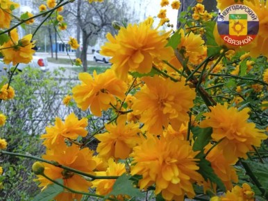 ������ ���� !. ������ ��� ������������ ����