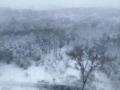 ������� ������: ���������� ���������� � ������ � ��� ����� ������ -20 � ������ ����� -2. ����������, ��� �����? �� ������� ����, ����� ����������� �� ���������, ������ � ��������� ������