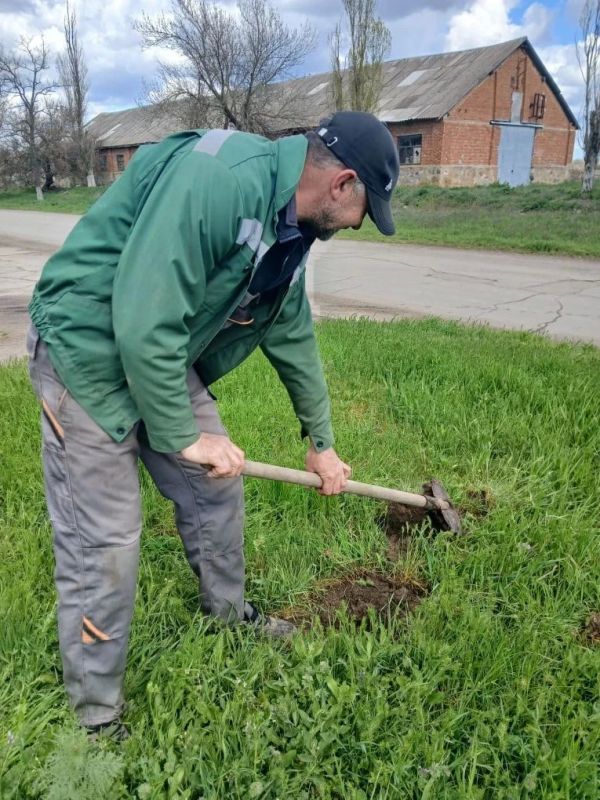 «Сад памяти» в селе Андровка «Сад памяти» в селе Андровка
