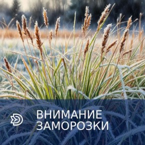 ��������� �� -3,0� ��������� � ����������� ������� 1,2 � 3 ���