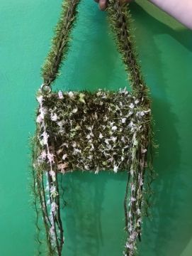 ����� ��������� ���������� �� ������������� �������� ���� �����������