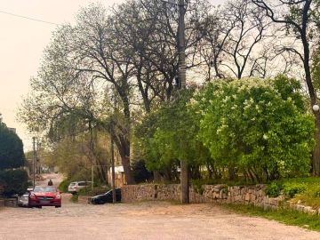 ������ ���� �����. �������������� �� ����� ������������� � MAX