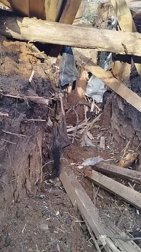 ���� �������: ������� �� ��. ���������� �����������