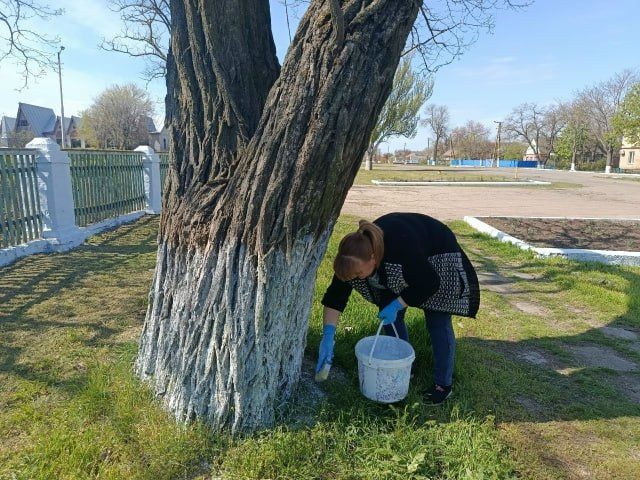 В населенных пунктах Приморского муниципалитета продолжают благоустраивать территории в рамках объявленного главой округа двухмесячника по наведению санитарного порядка В населенных пунктах Приморского муниципалитета продолжают благоустраивать территории в рамках объявленного главой округа двухмесячника по наведению санитарного порядка