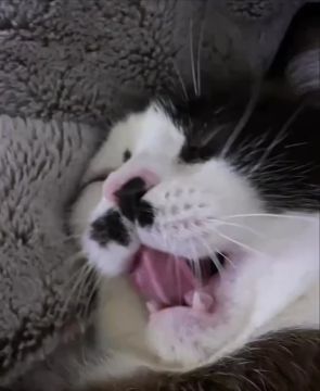 ����� ��������. �������� � ���������� ��� ����� ������