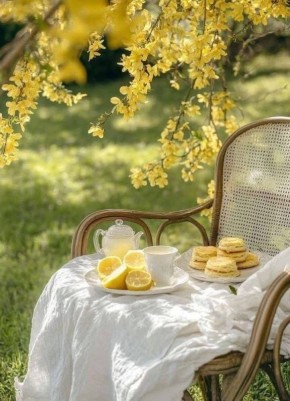 ���� ��������� ����!