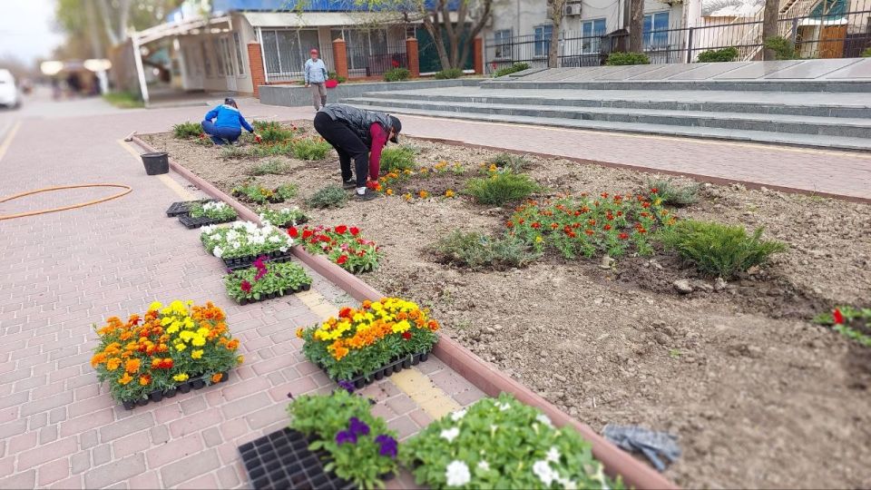 В Кирилловском сельском поселении провели работы по озеленению В Кирилловском сельском поселении провели работы по озеленению