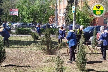 � ���������� ������������ ��������������� ����