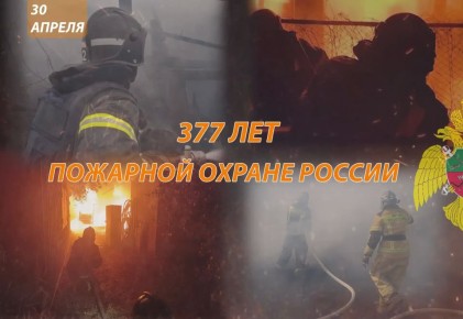 377 ��� �������� � ����������� �����