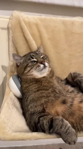 ���� ��������. ������� ����� � ���������� ����