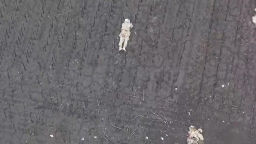 ������� ����� ����������� ����������� ��������������� � �������� ������������ ����������� ����� "������" �� �������, ������� �� ��������