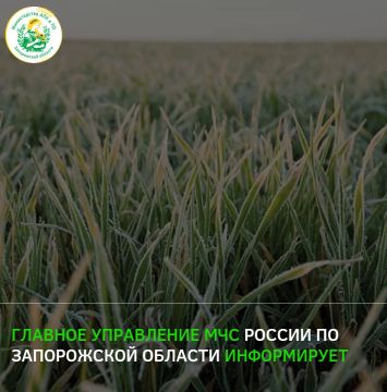 �� ������ ������-����������� ����, ����� � ����� 1, 2 � 3 ��� ������� � ������� ��������� ��������� � ������� � �� ����������� ����� �� -1�-3��