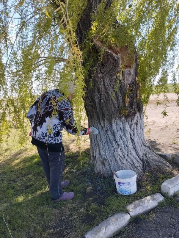 Субботник в Доме культуры села Успеновка Субботник в Доме культуры села Успеновка